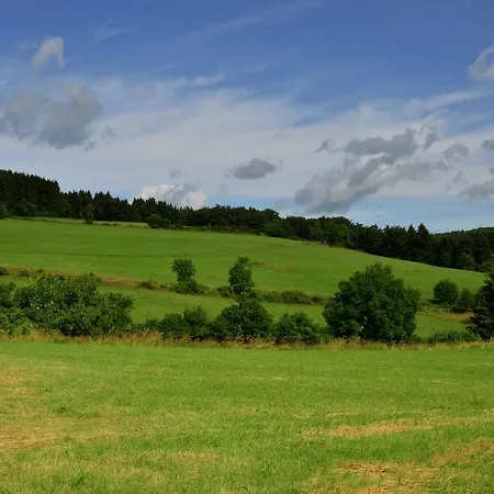 Neerdar Holiday home Willingen (Upland)